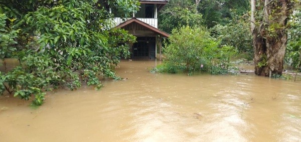 Banjir Merendam 14 Desa di Kalimantan Barat